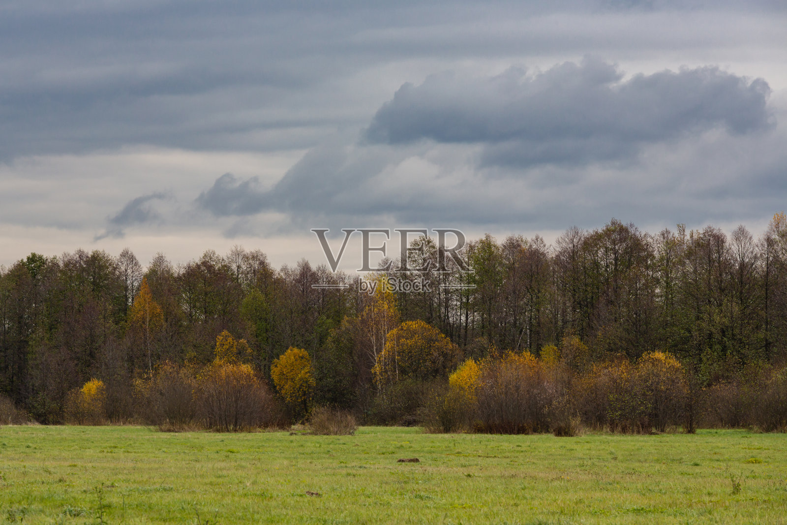 秋天的风景在阴沉的一天照片摄影图片