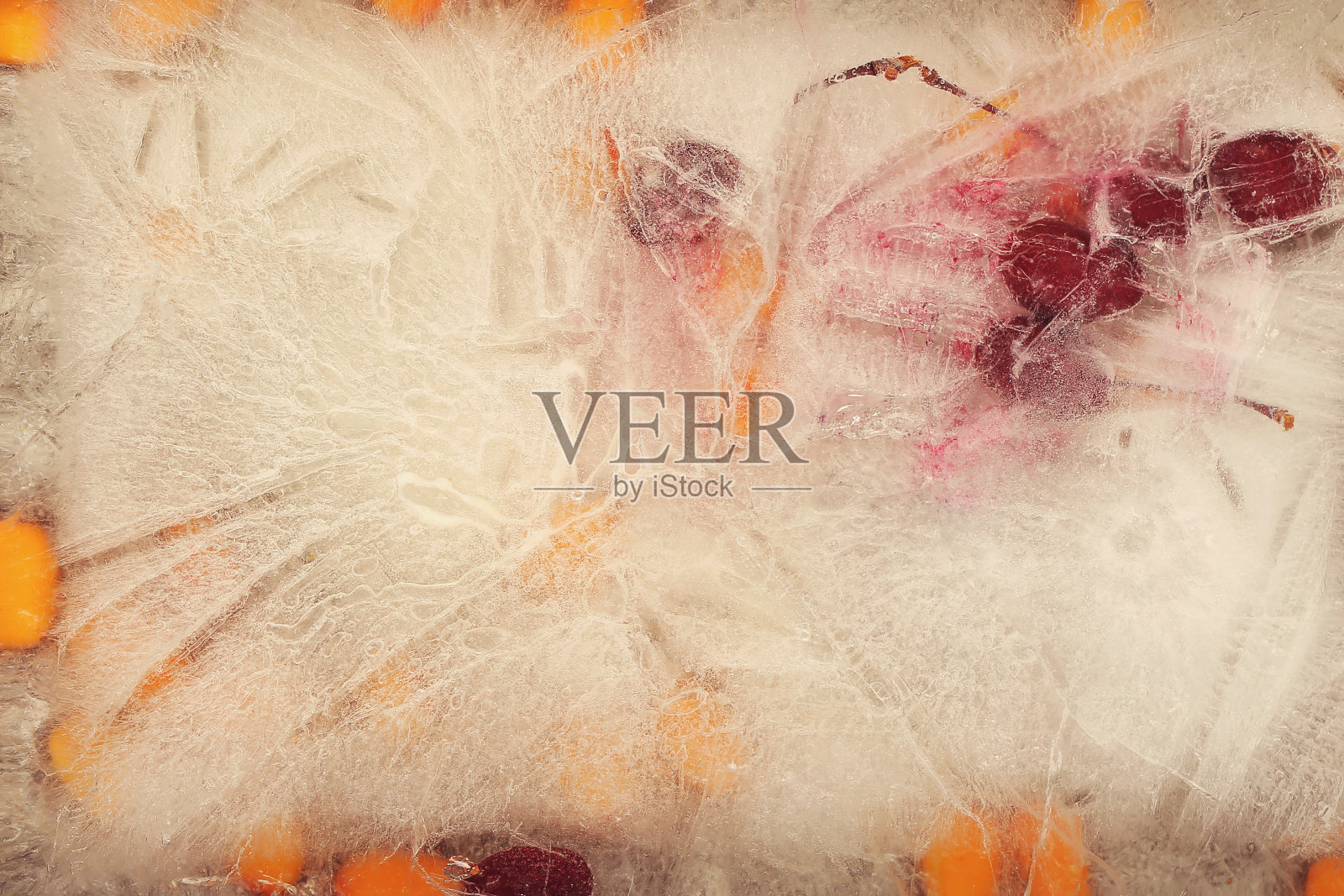 一束花和冰浆果照片摄影图片