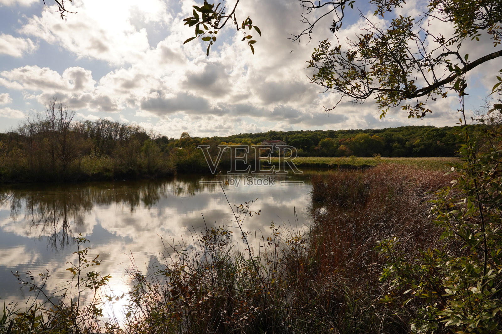 Villeneuve-Loubet市的Vaugrenier公园的性质。照片摄影图片