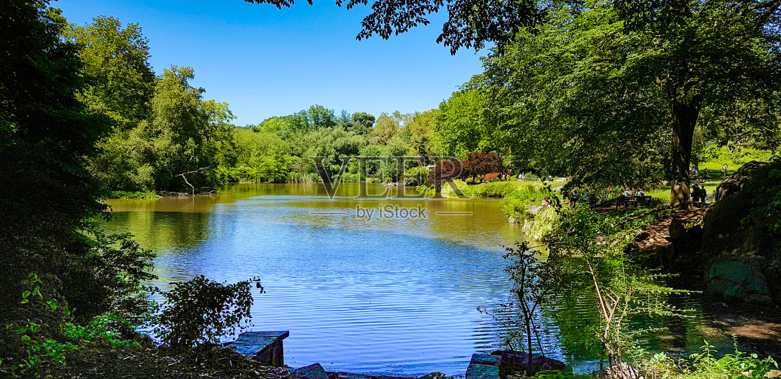中央公园池塘照片摄影图片