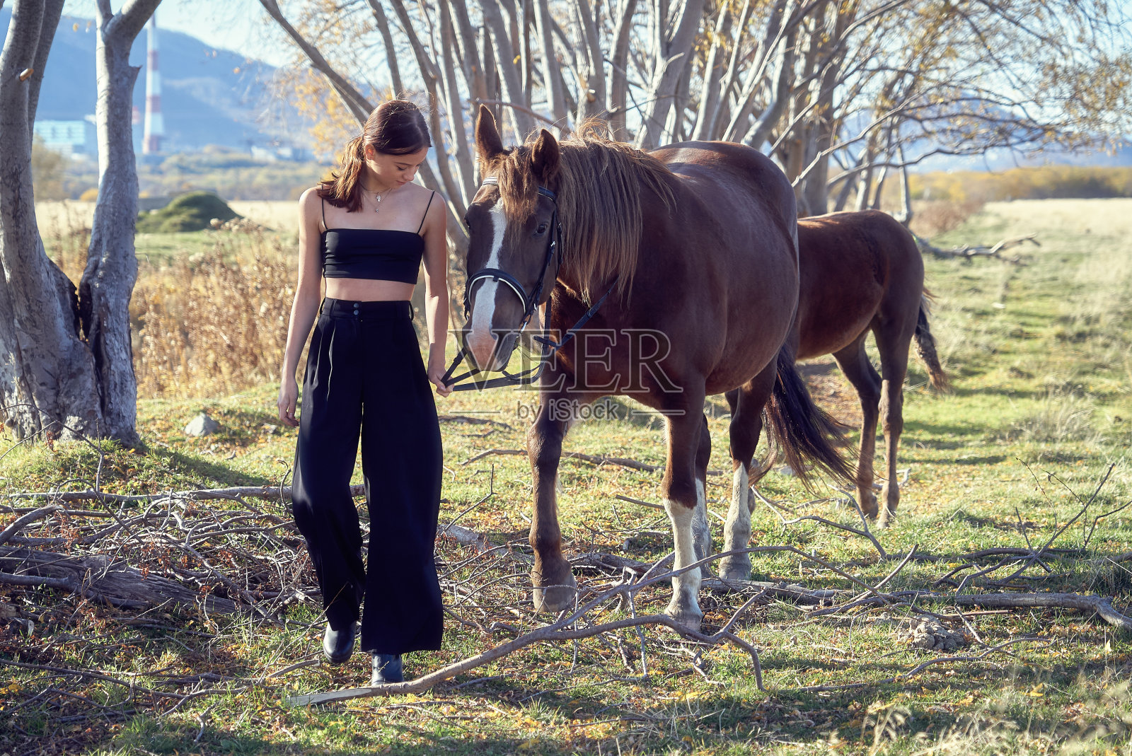 一个少女和一匹马在散步照片摄影图片
