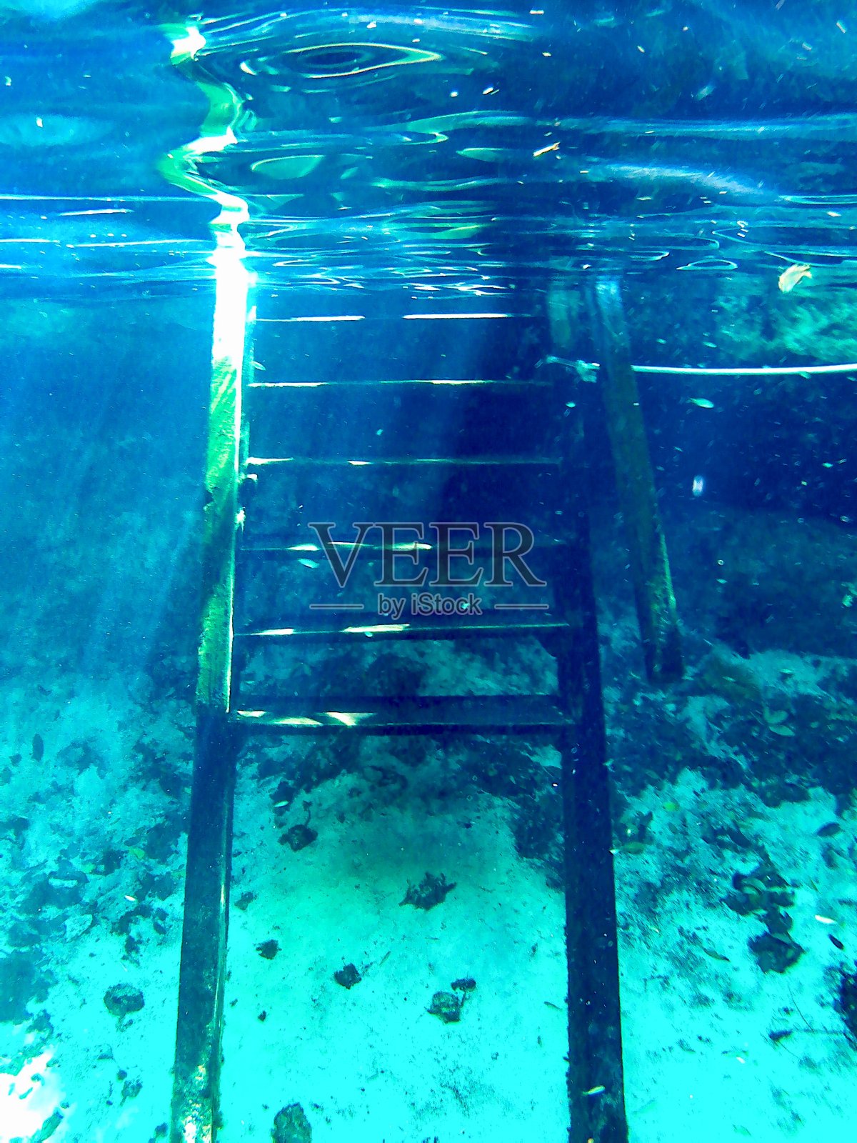 水下魔法照片摄影图片