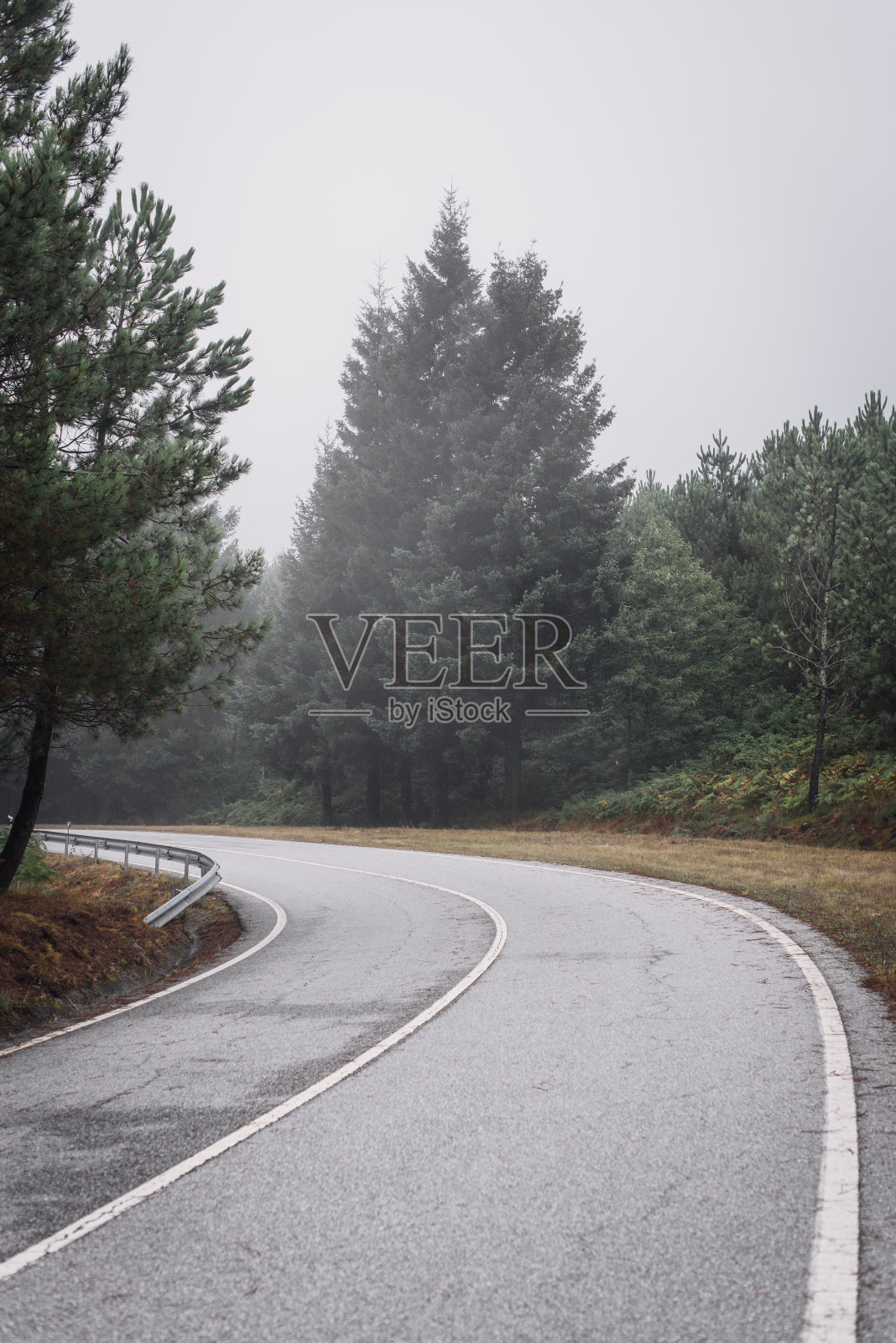 雾蒙蒙的蜿蜒的道路。照片摄影图片