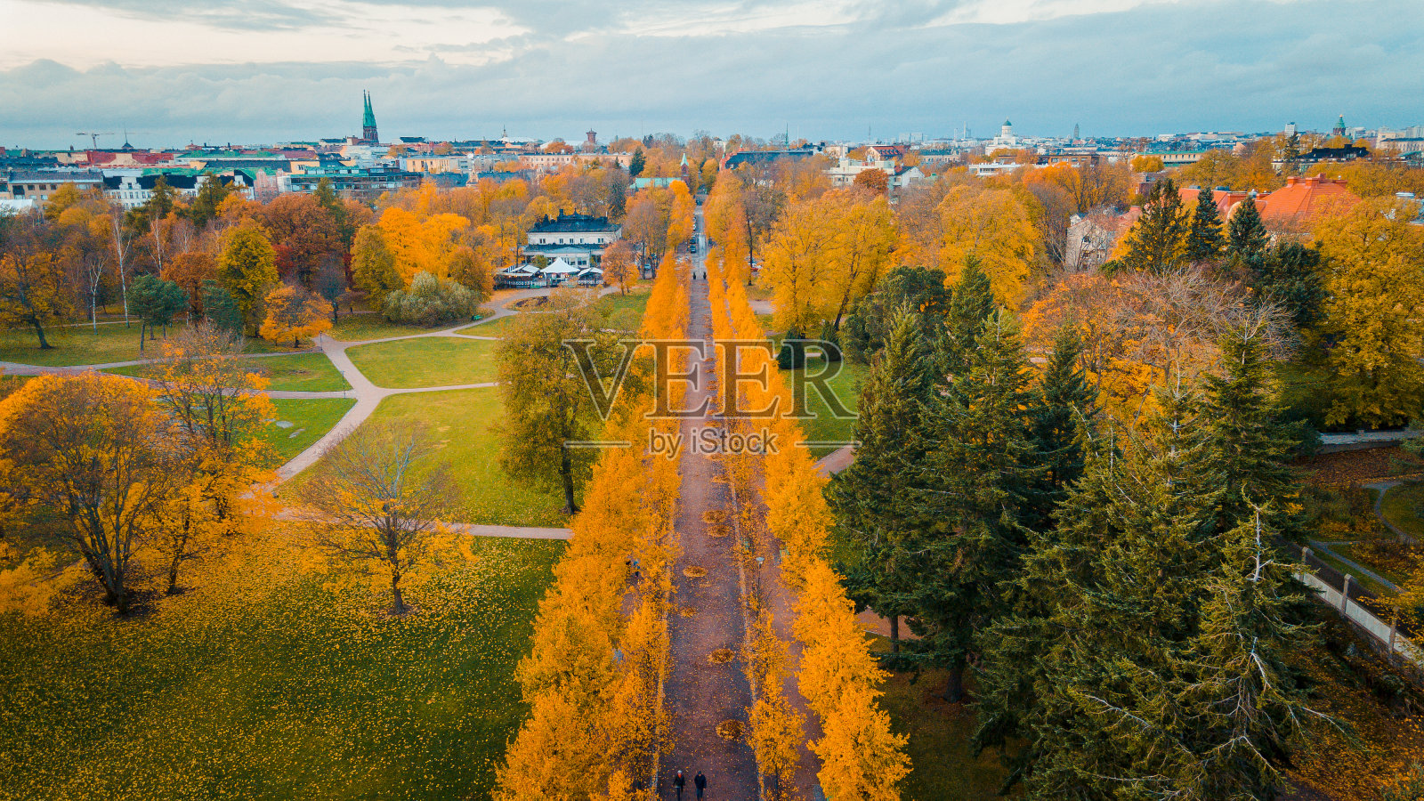秋天的公园。路上铺满了秋叶照片摄影图片
