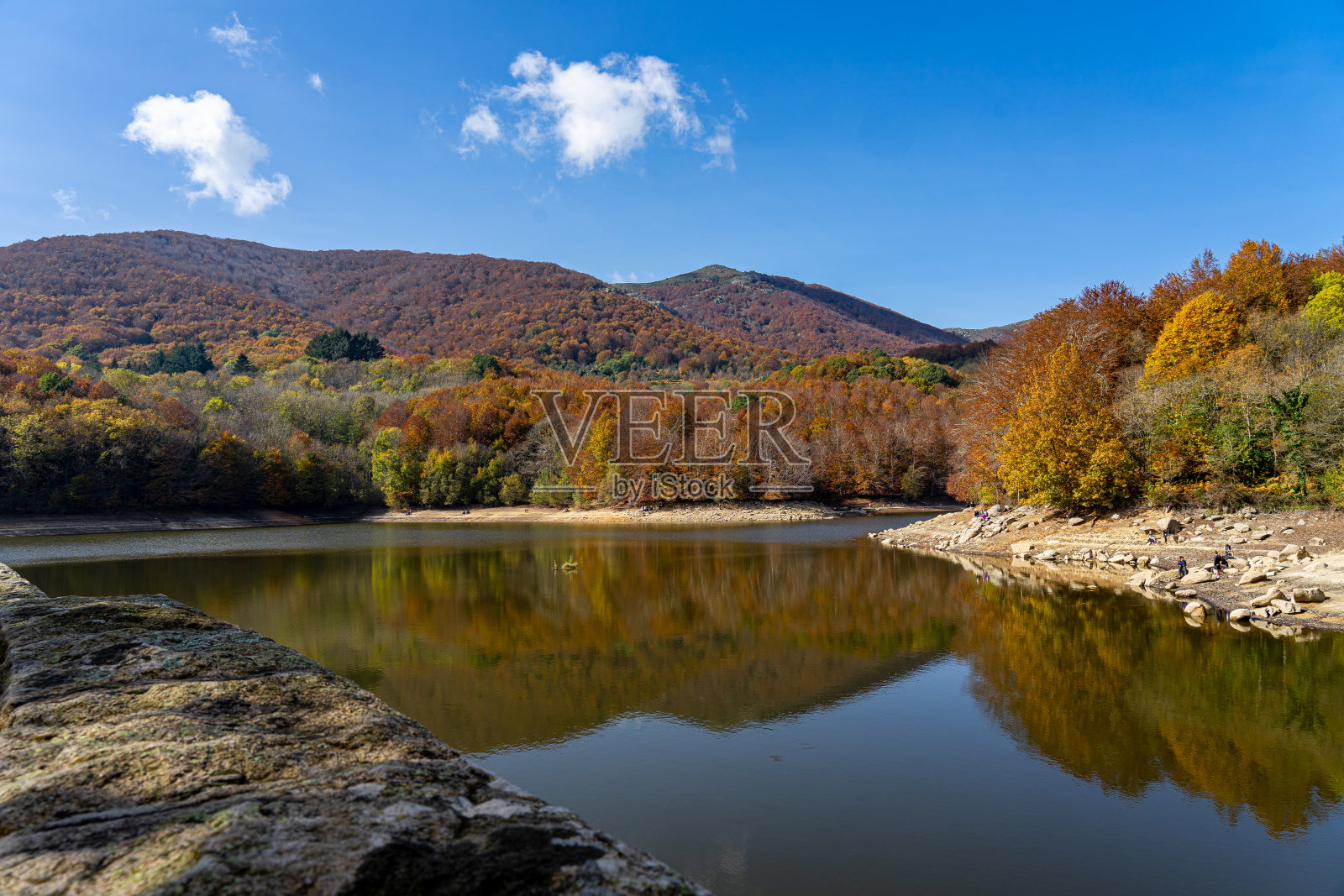 西班牙加泰罗尼亚的蒙塞尼森林深处五彩缤纷的秋天照片摄影图片