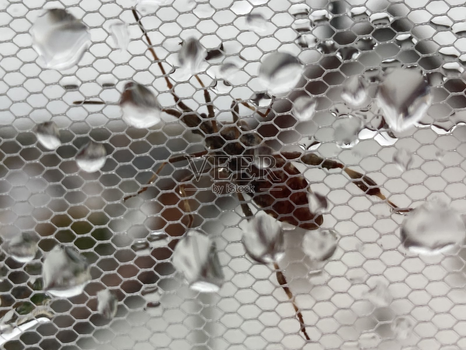 美丽的大自然照片摄影图片