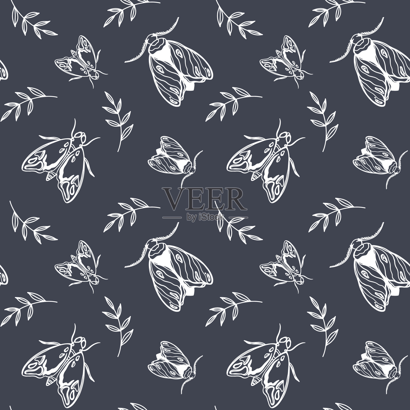 可爱的飞蛾插画图片素材