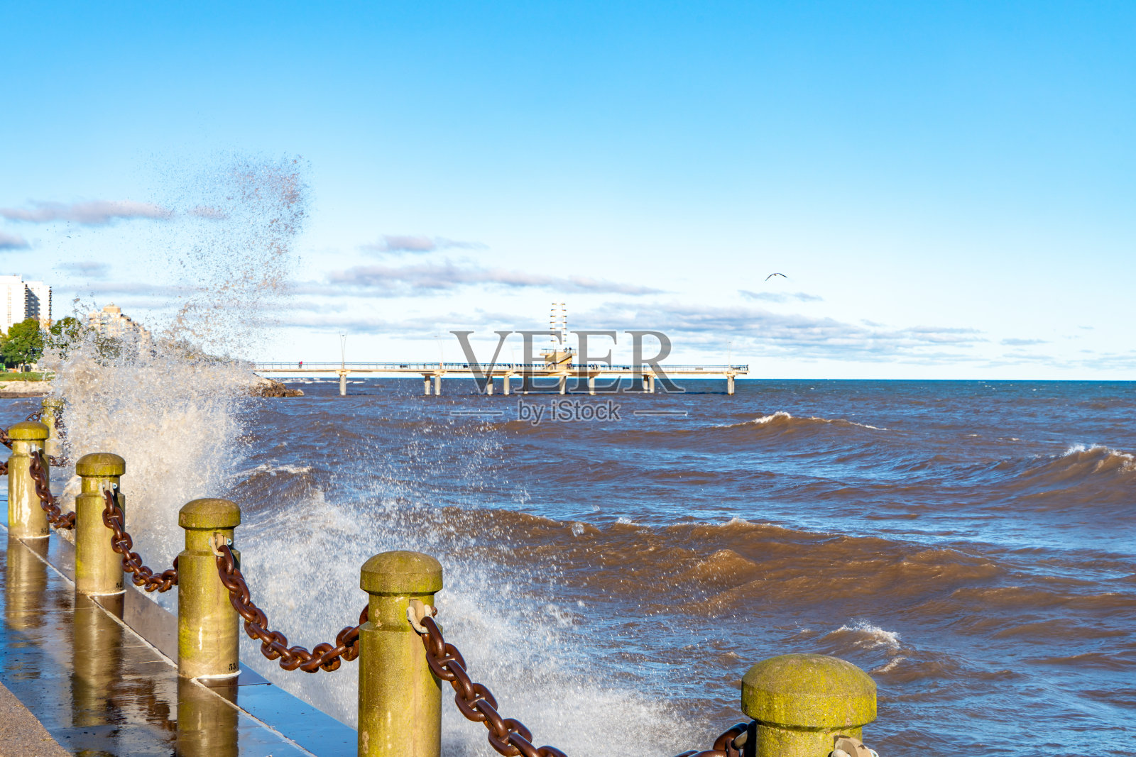 加拿大安大略省伯灵顿市安大略湖湖畔的斯宾塞史密斯公园和布兰特街码头照片摄影图片