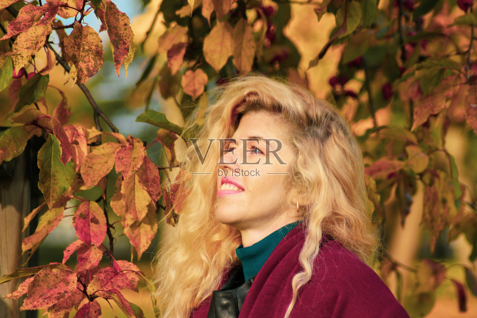 一个金发女孩的浪漫的秋天肖像,背景是一棵黄叶的树照片摄影图片