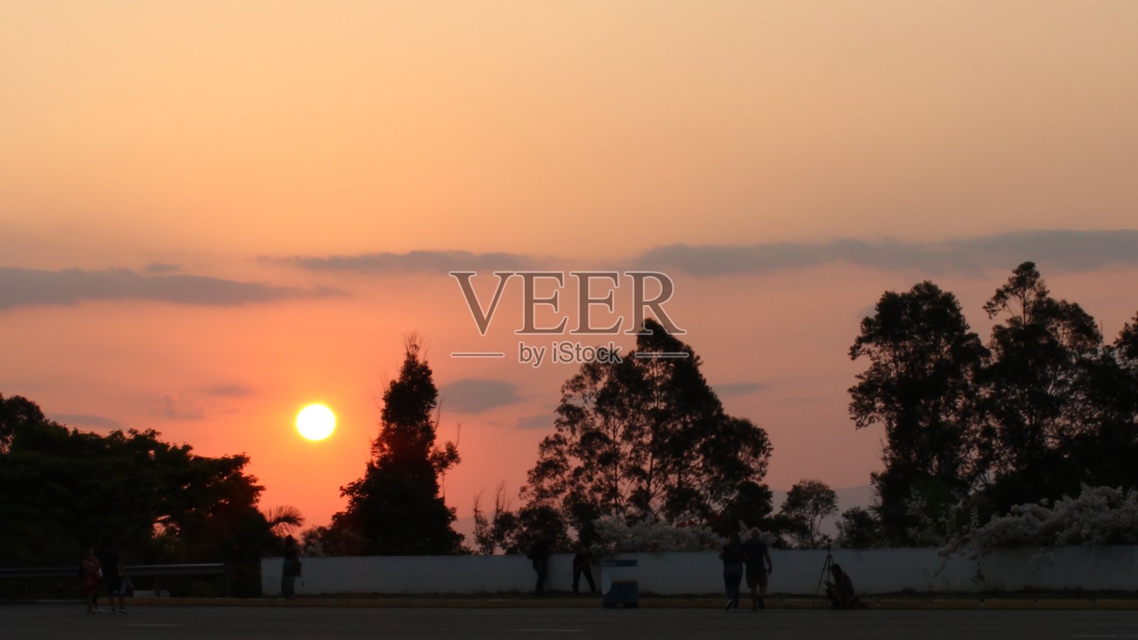 公园里的日落照片摄影图片