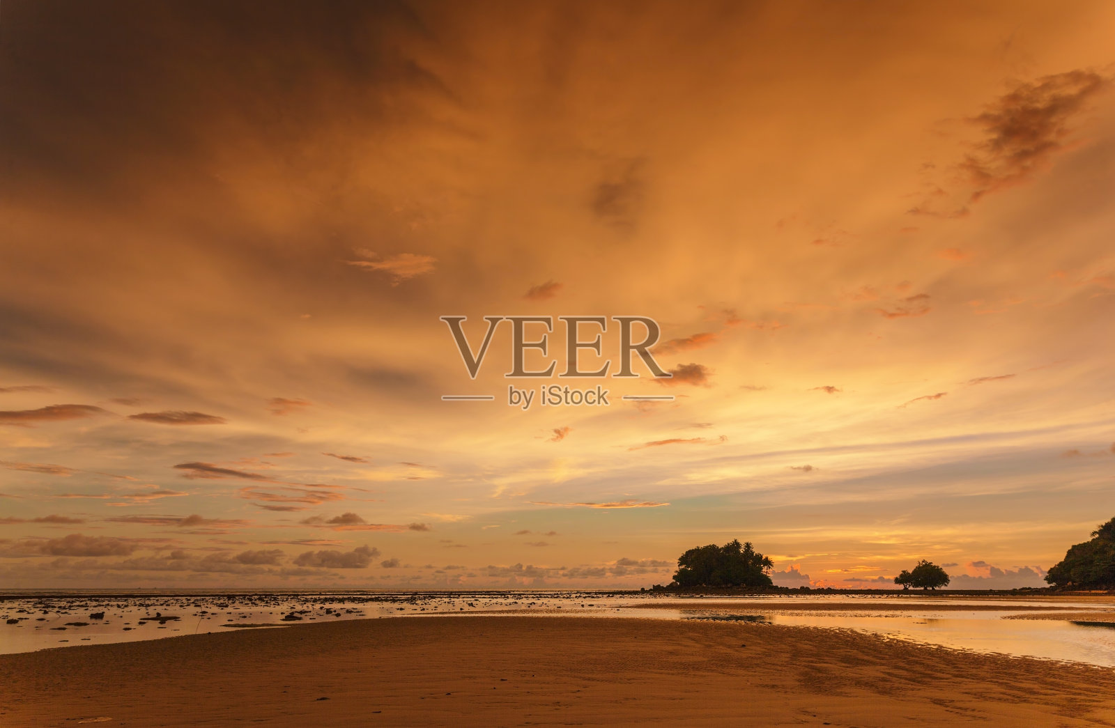 美丽的日落景观与树木剪影在低潮海滩。照片摄影图片