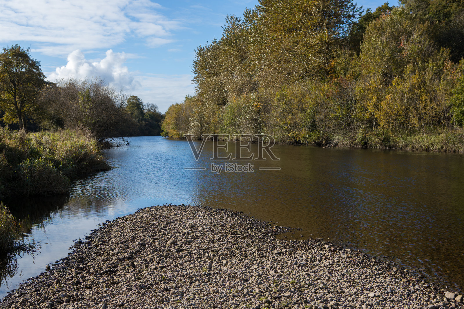 秋日,克里瑟罗河畔。温柔的流水和秋叶照片摄影图片