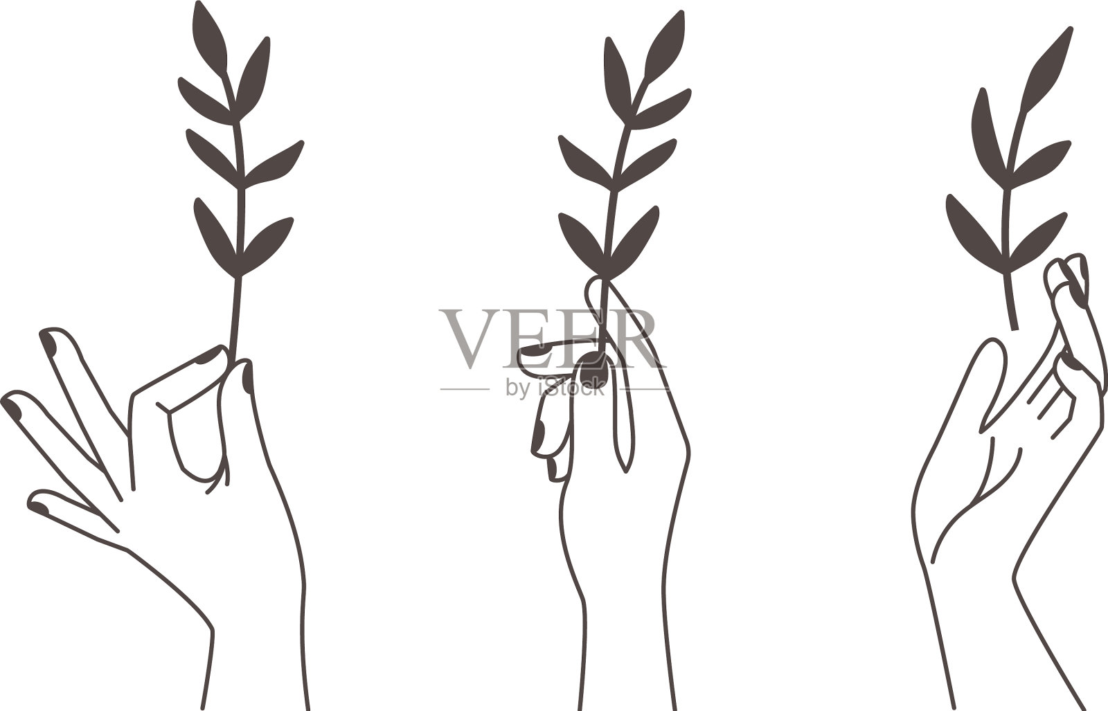 有树枝纹身的女性手插画图片素材