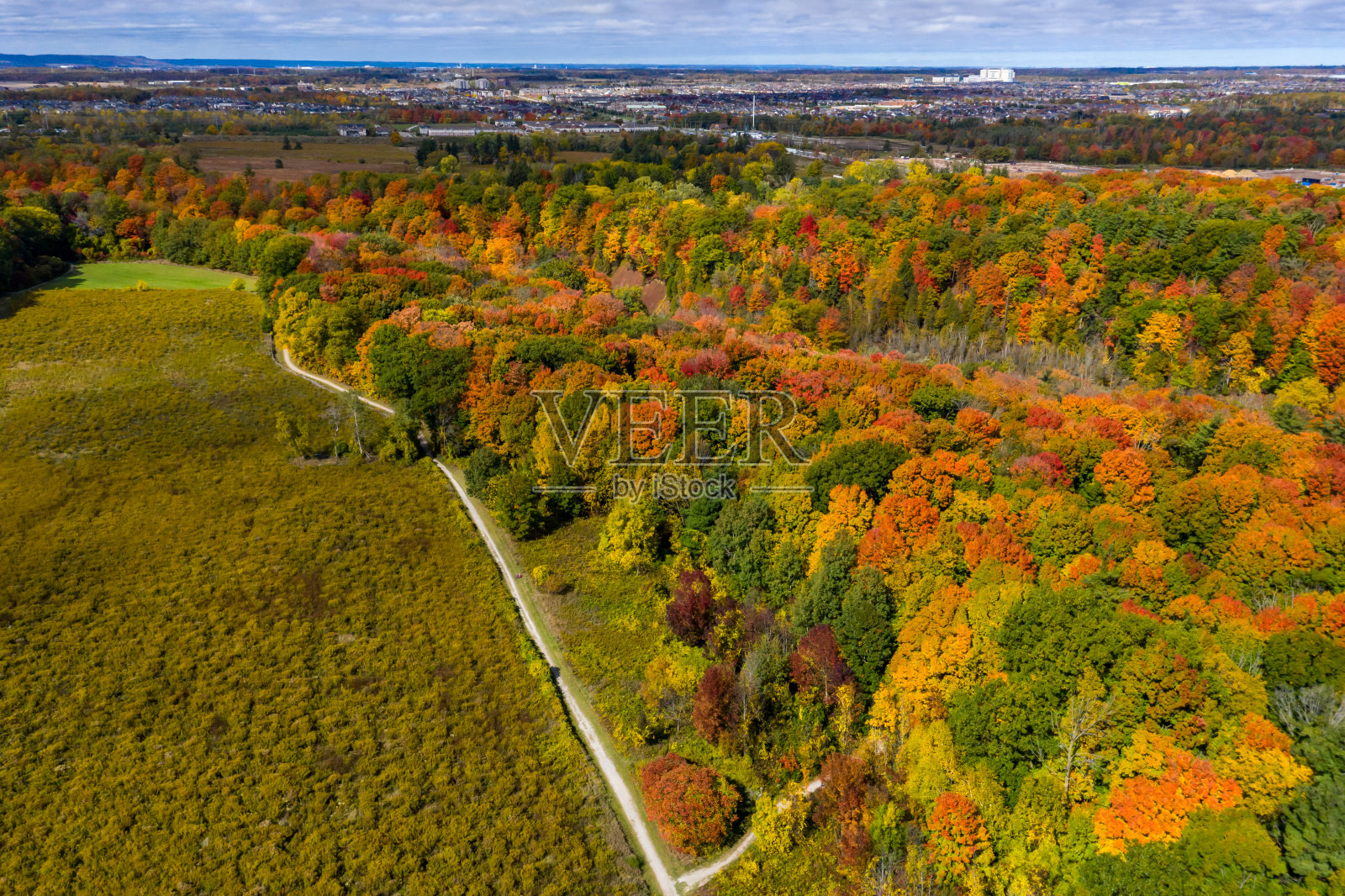 空中勃朗特溪秋季省级公园,奥克维尔,加拿大照片摄影图片