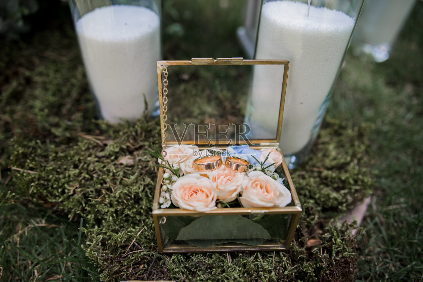 结婚的金戒指放在一个透明的盒子里照片摄影图片