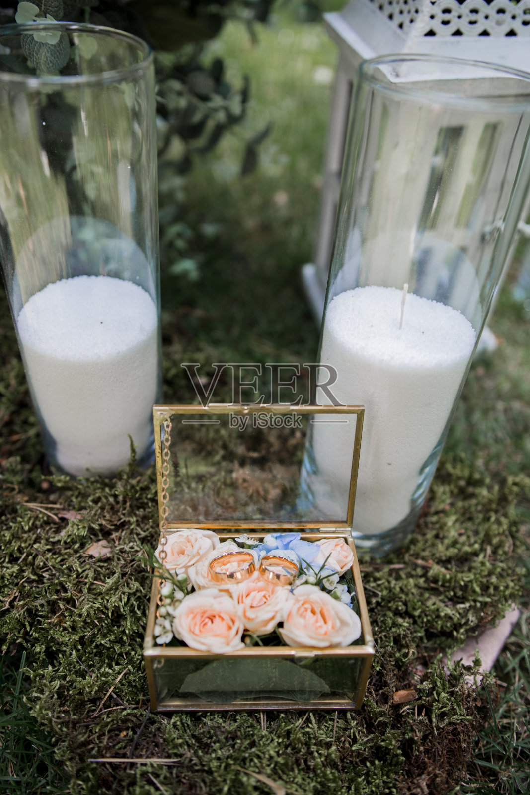 结婚的金戒指放在一个透明的盒子里照片摄影图片