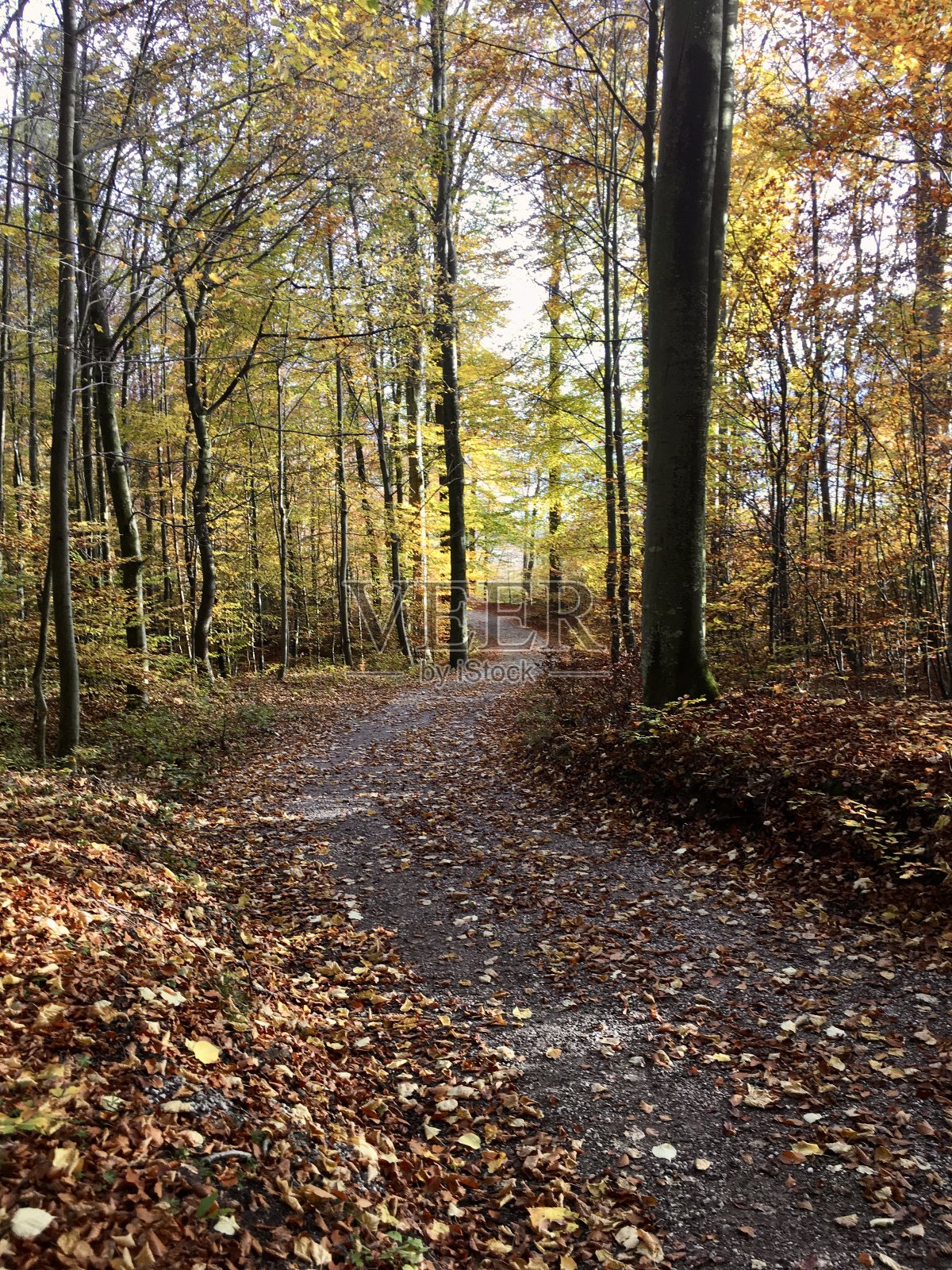 Chiemsee是德国巴伐利亚州靠近罗森海姆的一个淡水湖。它通常被称为“巴伐利亚海”。照片摄影图片