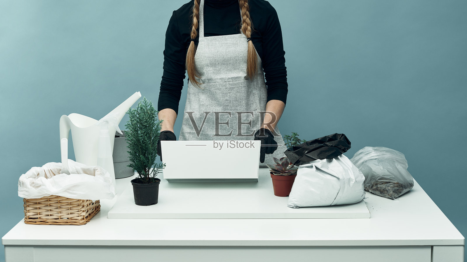 女孩在土和花盆里种室内植物和花。植物护理和保养。的爱好。照片摄影图片