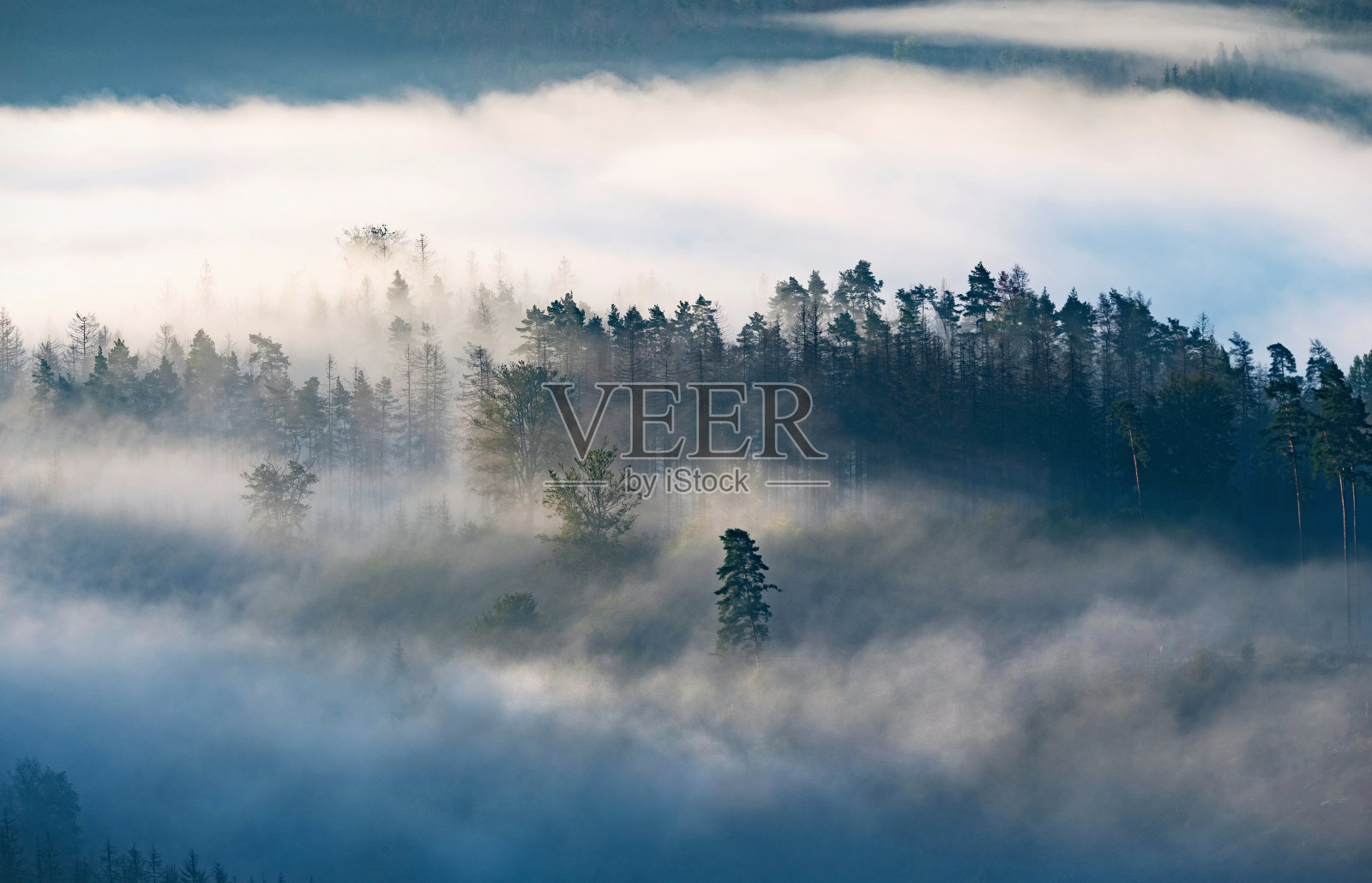 朦胧黑暗的森林景观在清晨日出。山顶有浓雾和森林树景。有雾的早晨雾照片摄影图片