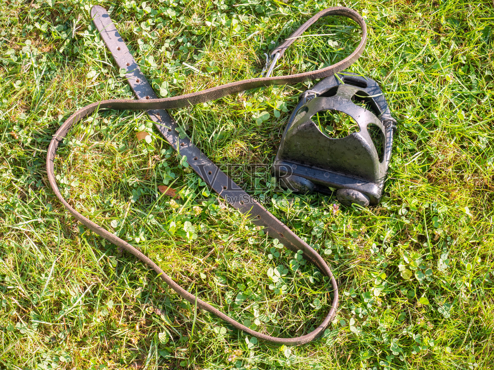 马镫和草地上马鞍上的皮革照片摄影图片