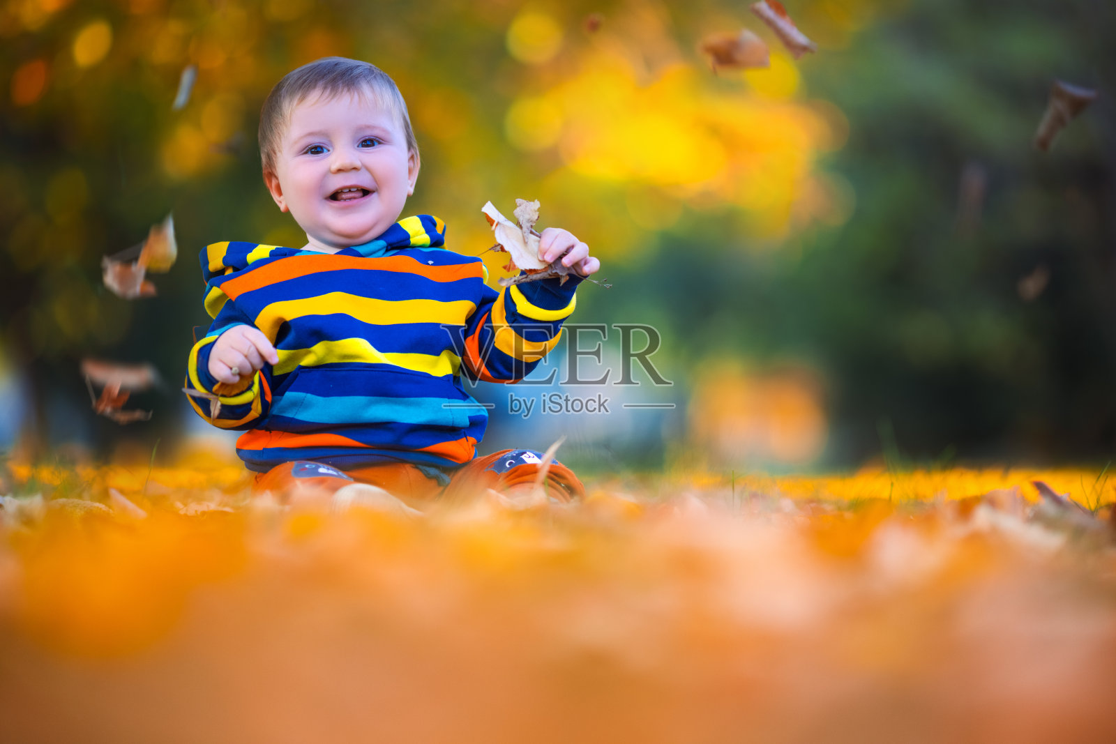 可爱的小男孩在秋天的公园里和落叶玩耍照片摄影图片