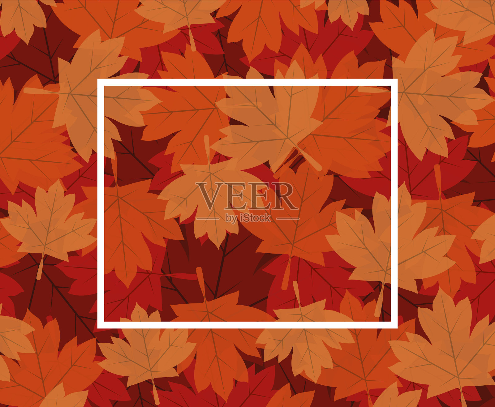 秋天枫叶的框架设计插画图片素材