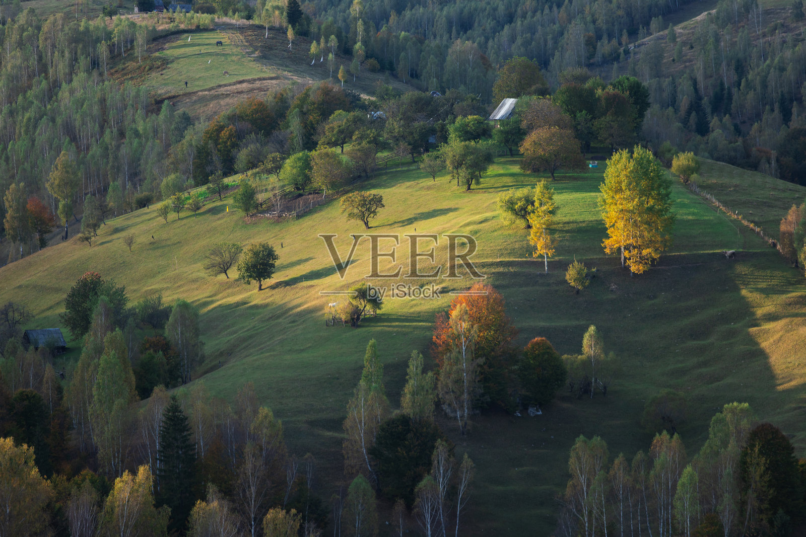 罗马尼亚的秋天,喀尔巴阡山上结着白霜照片摄影图片