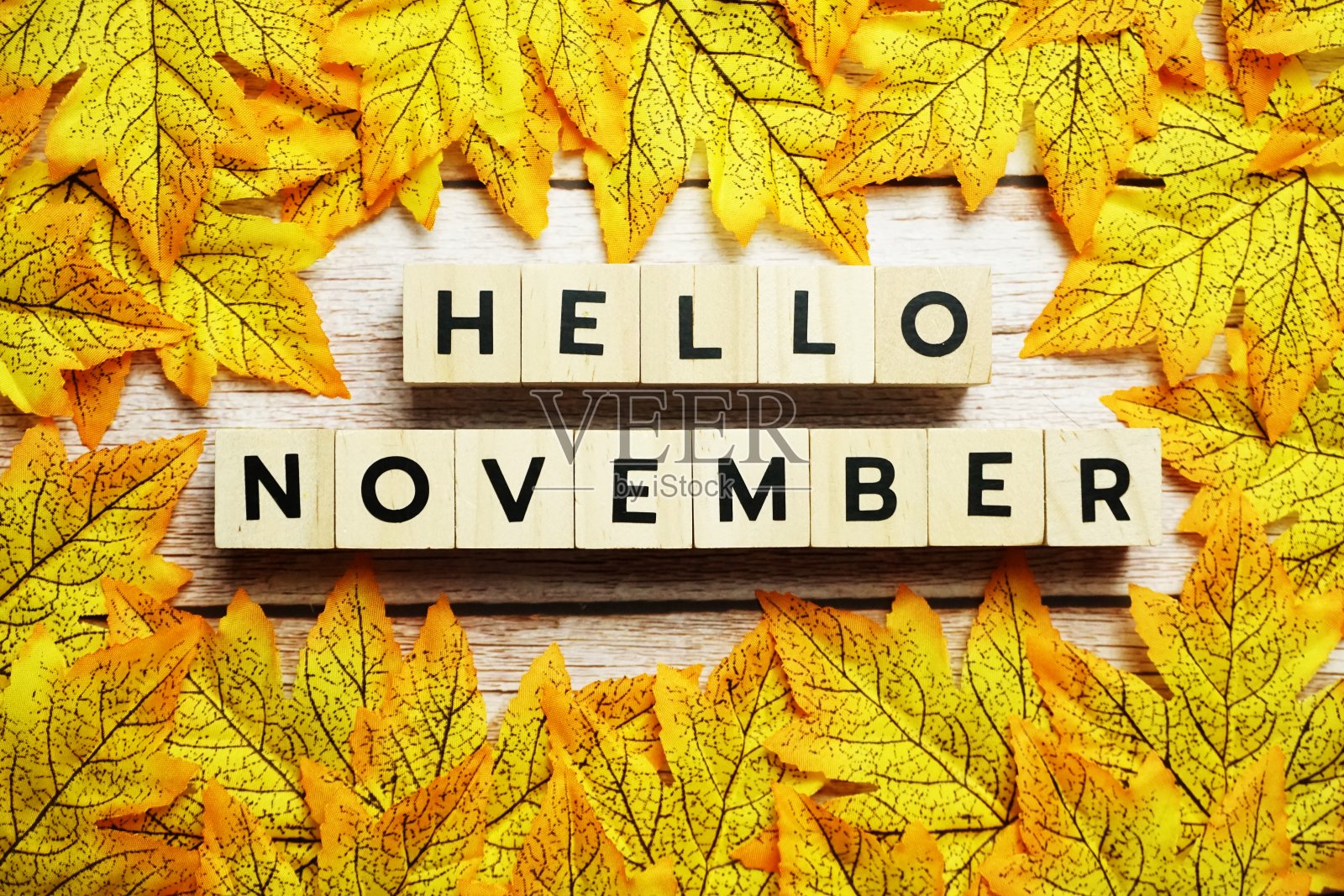 11月快乐字母用枫叶装饰在木制背景上照片摄影图片