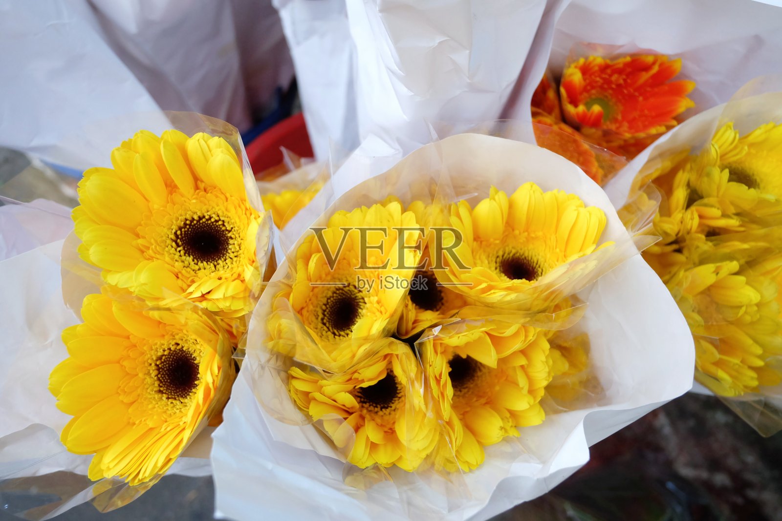 在选择焦点黄色非洲菊花盛开在白纸包装和在植物市场出售照片摄影图片