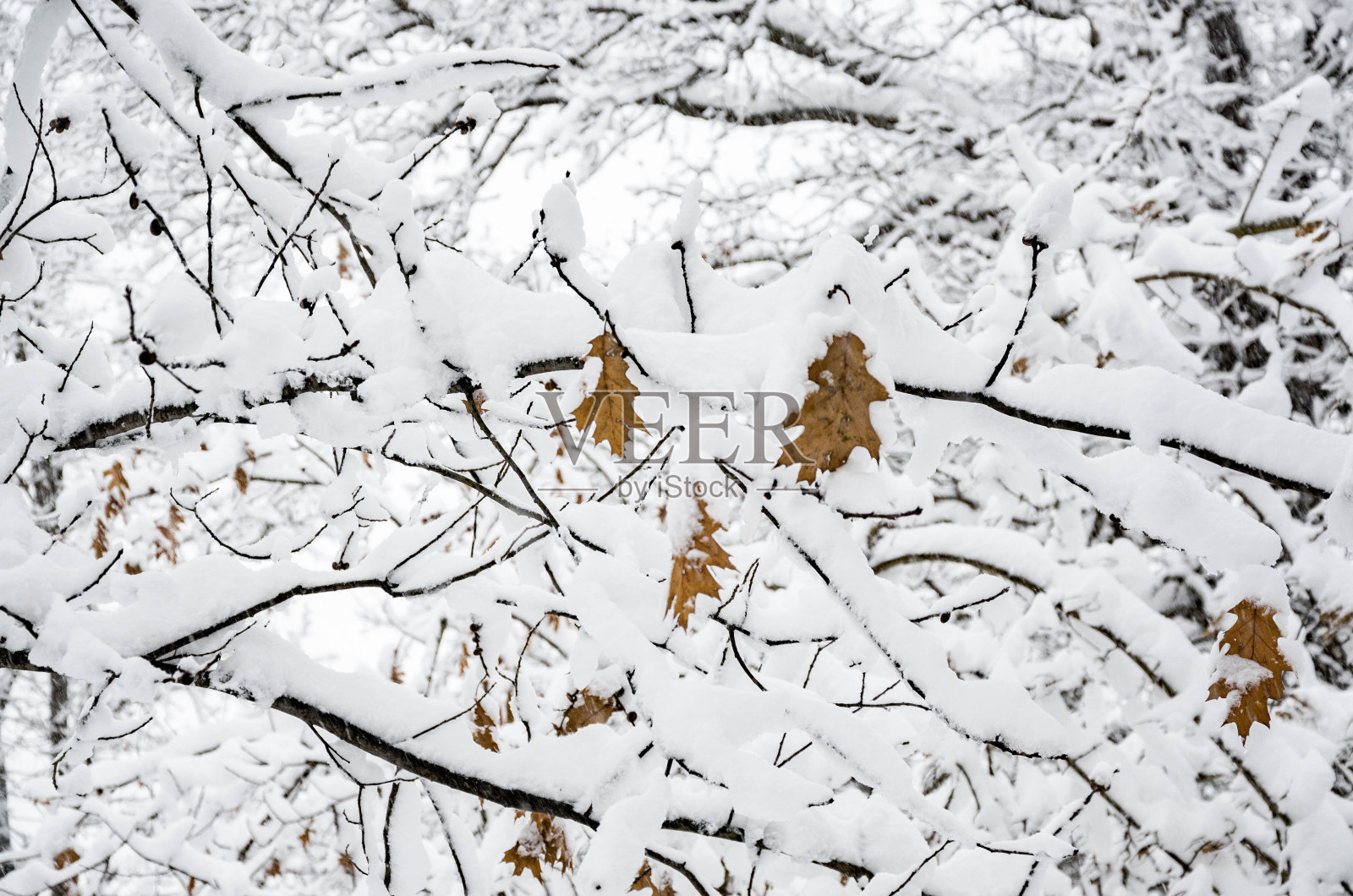 雪堆照片摄影图片
