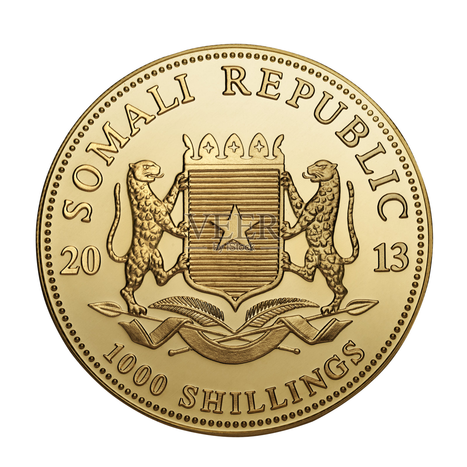 1盎司黄金非洲野生动物照片摄影图片