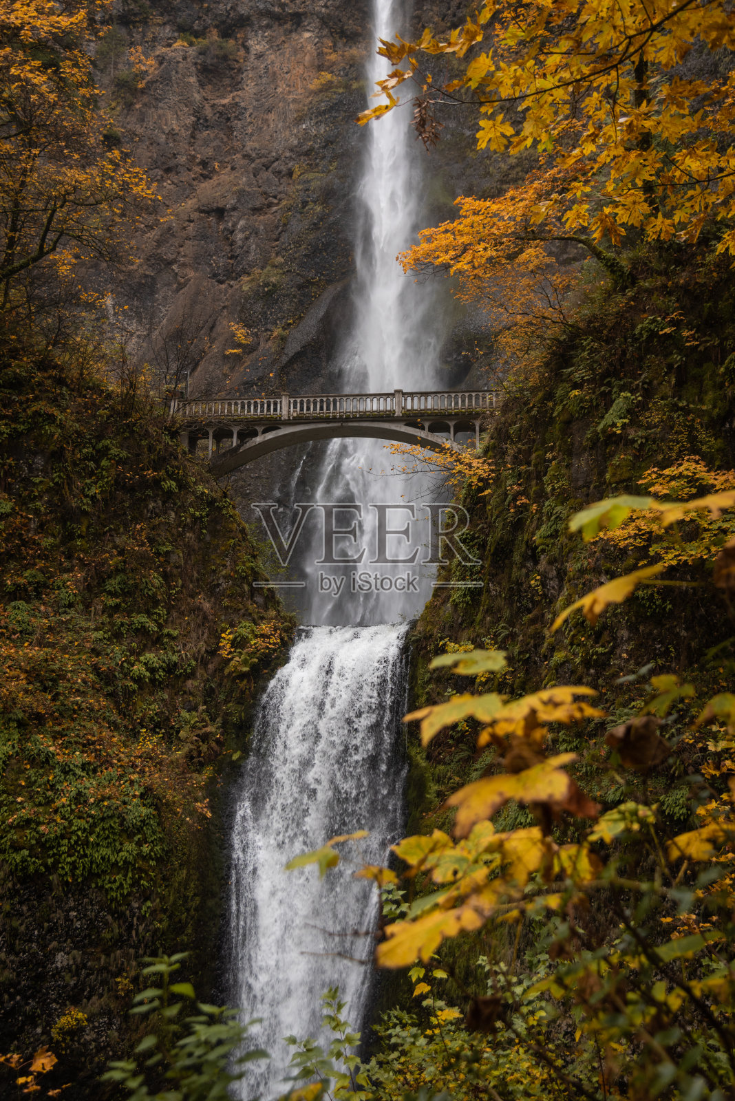 俄勒冈州的Multnomah Falls,秋天照片摄影图片