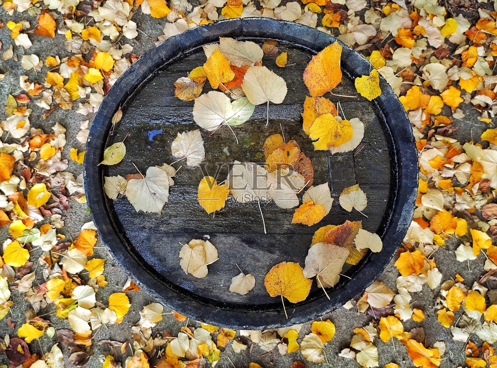 桶照片摄影图片