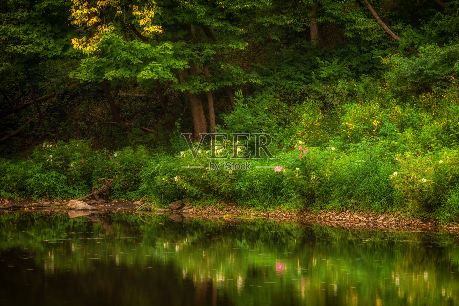 河岸照片摄影图片