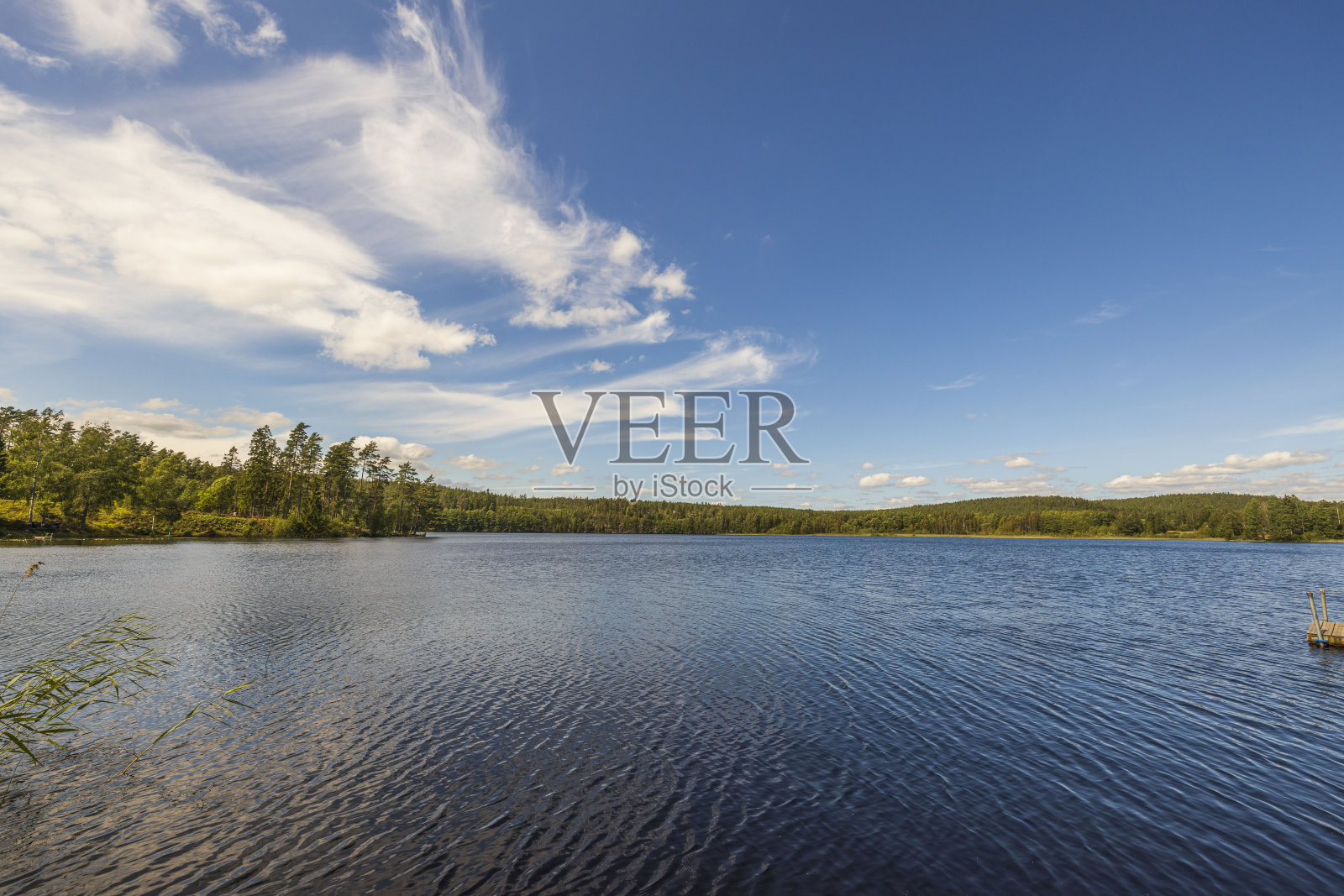 夏天湖面上的美丽景色。暗色的水面,翠绿的松树,蓝天白云。瑞典,欧洲。照片摄影图片