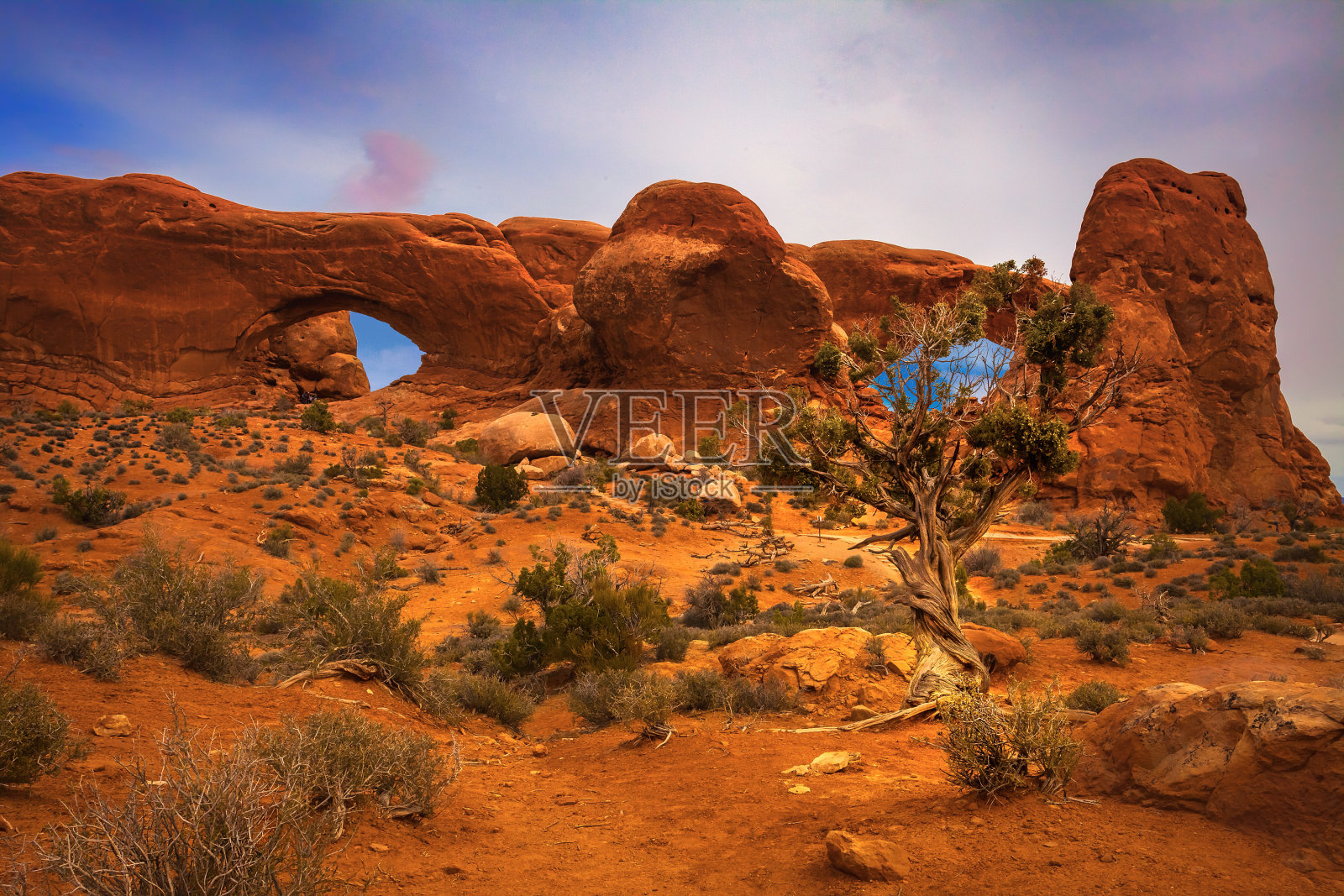 拱门国家公园的窗户照片摄影图片