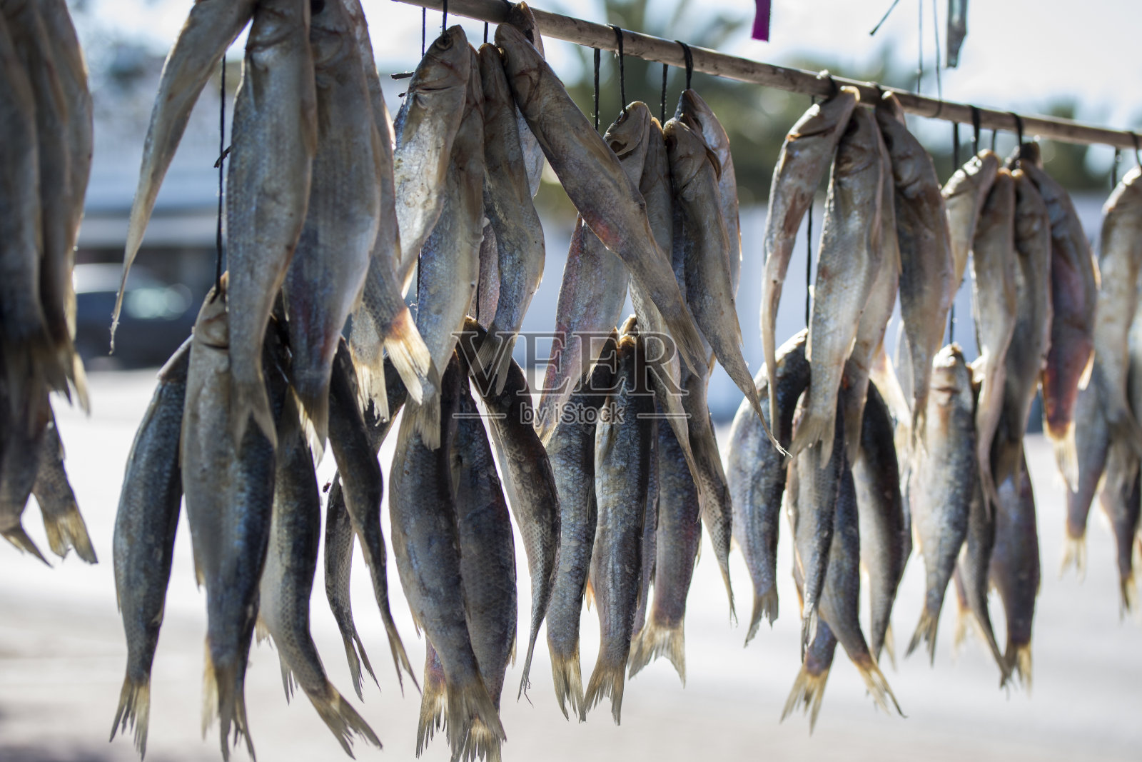 Bokkoms(干鱼)南非西海岸照片摄影图片