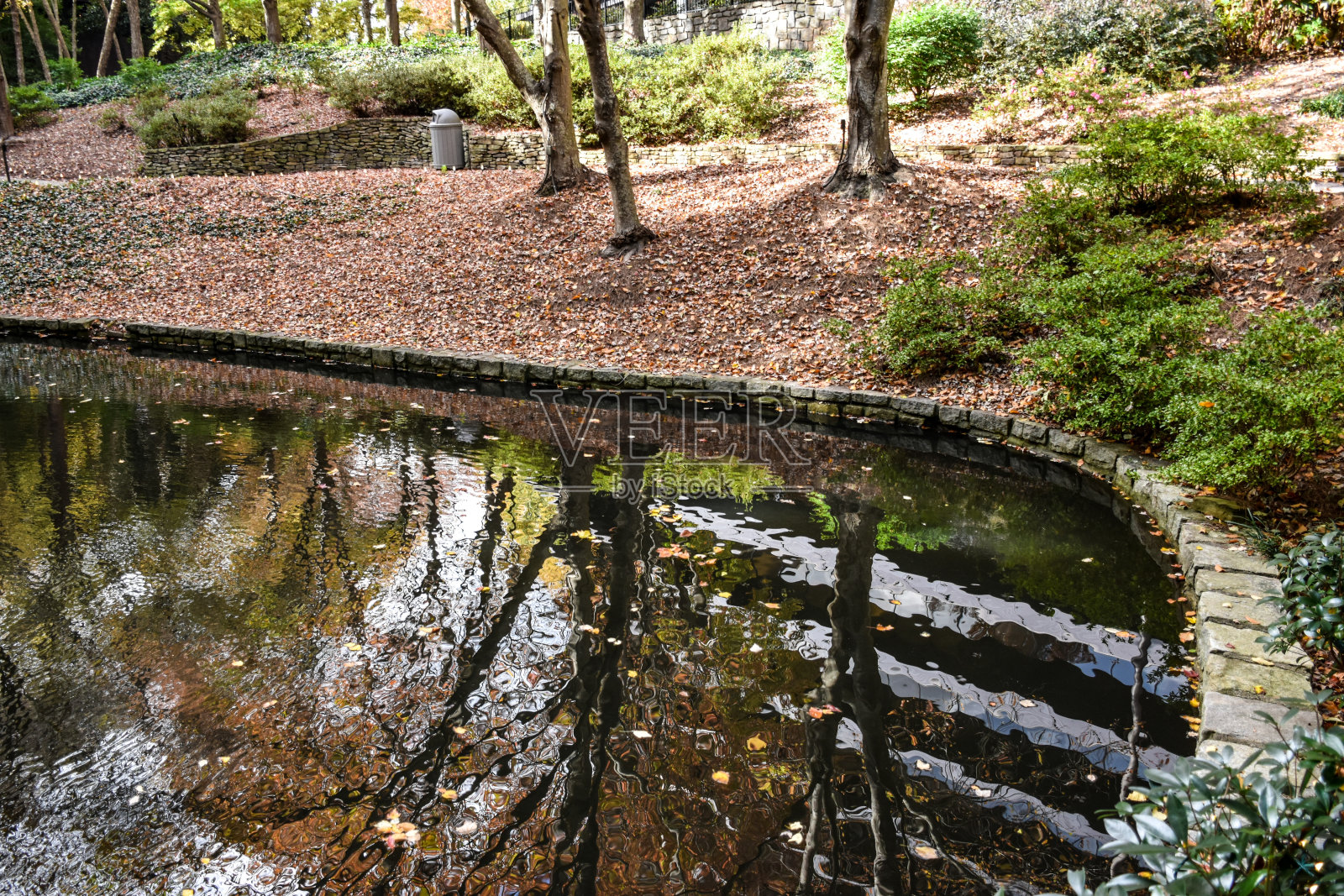 池塘反映秋天的树叶和树木在花园里照片摄影图片