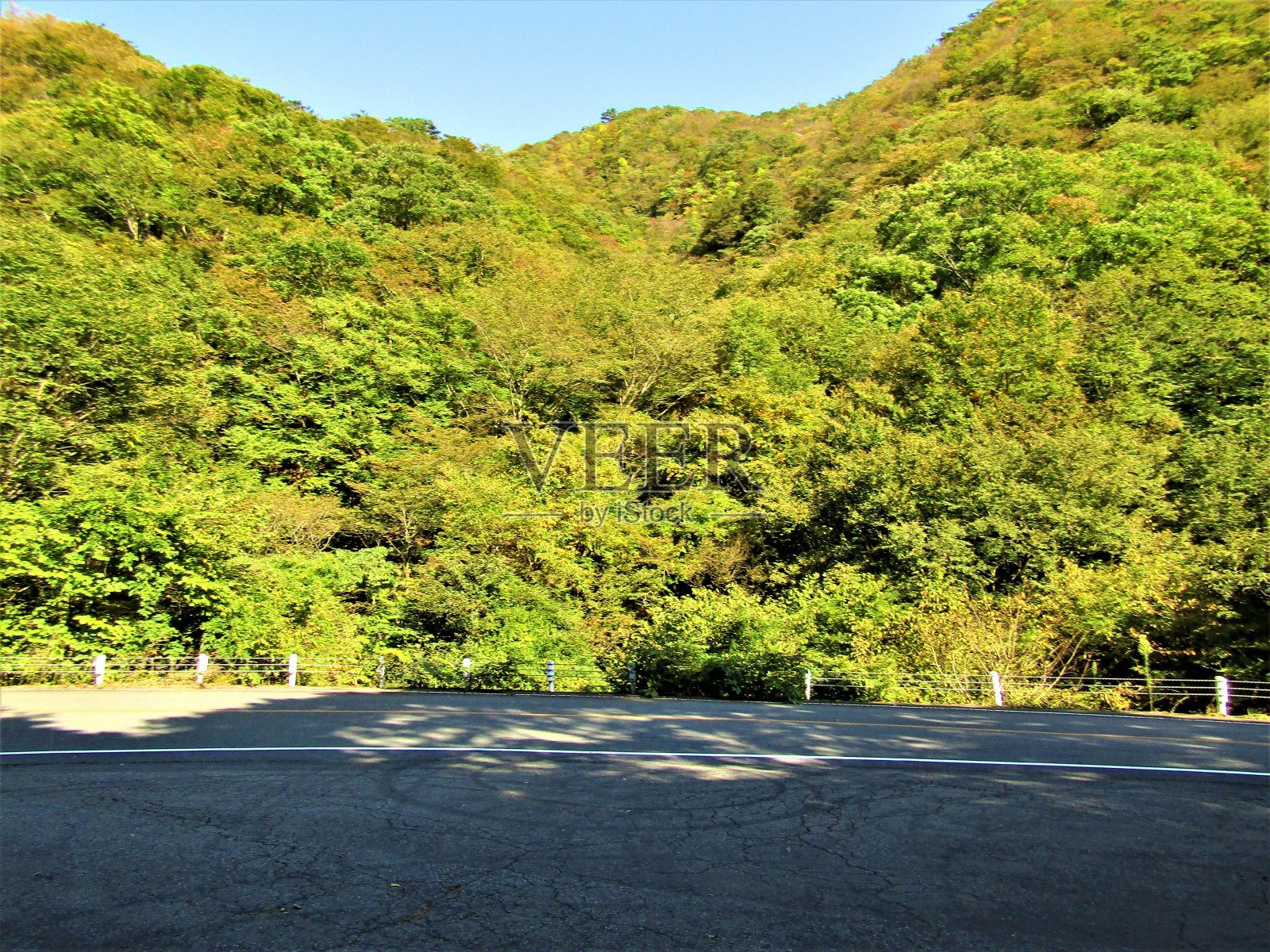 日本。十月。漂亮的晴天。前面是山林。照片摄影图片