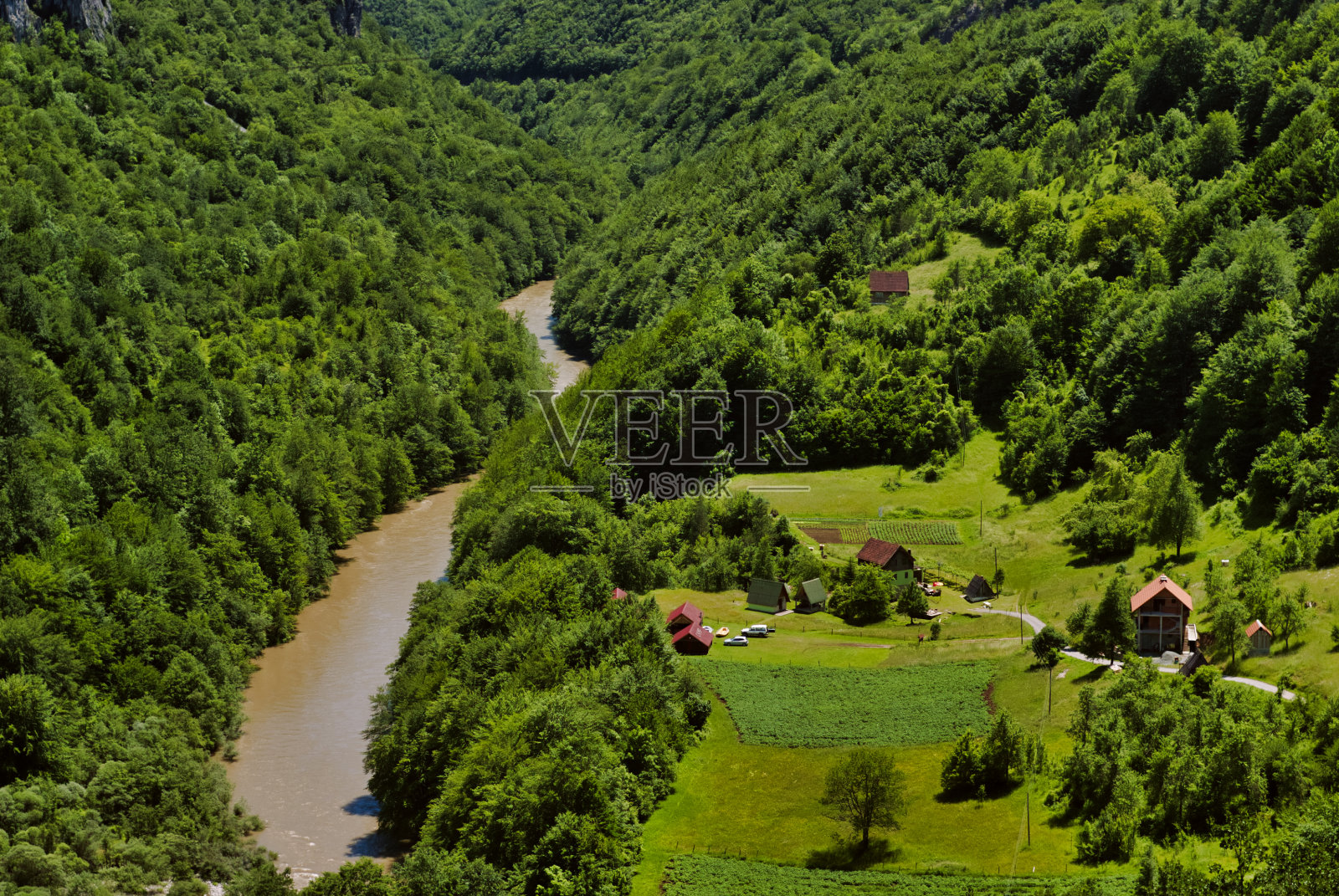 鸟瞰图的森林与河流在黑山照片摄影图片