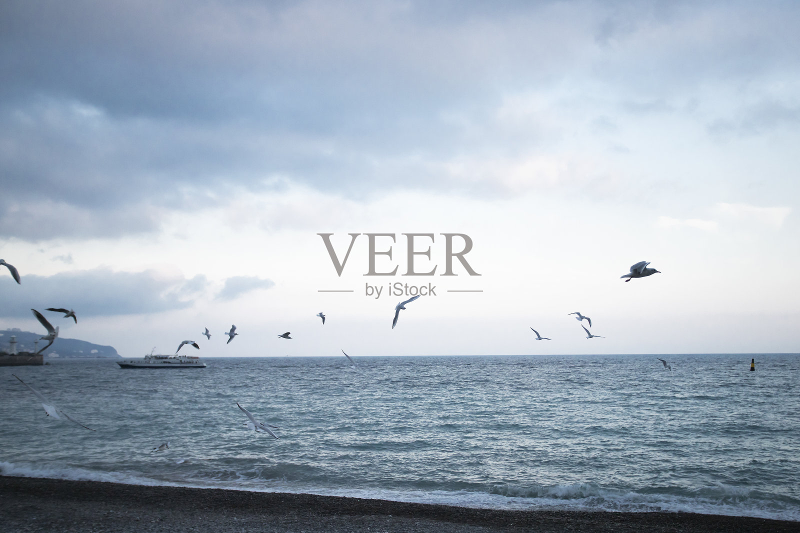 海景与飞翔的海鸥和过往的船只照片摄影图片