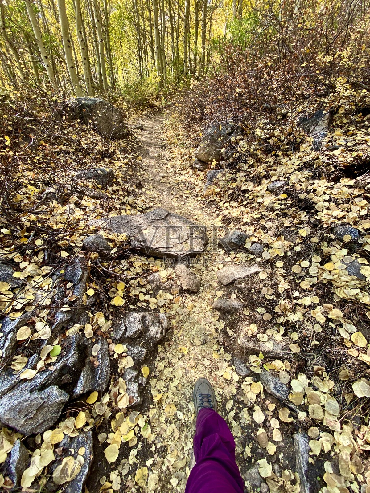 秋天的徒步旅行照片摄影图片