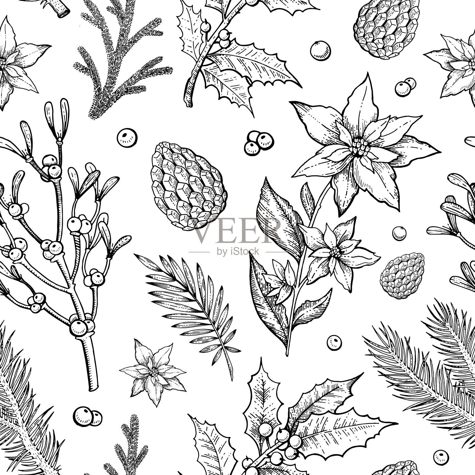 圣诞节的模式。冬季植物无缝矢量背景。复古的节日花墙纸上有松树、槲寄生枝、松果、树叶、冬青浆果、花朵。素描刻字圣诞插图插画图片素材
