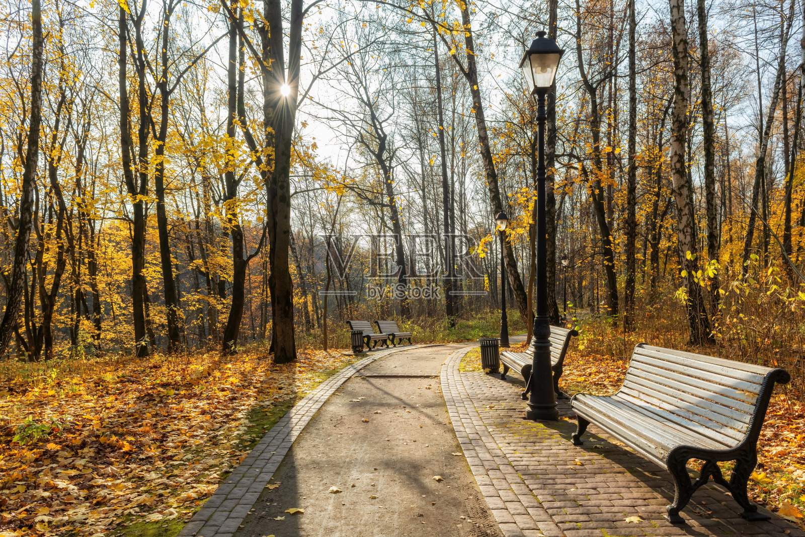 秋天五彩缤纷的树叶在浪漫的小巷照片摄影图片
