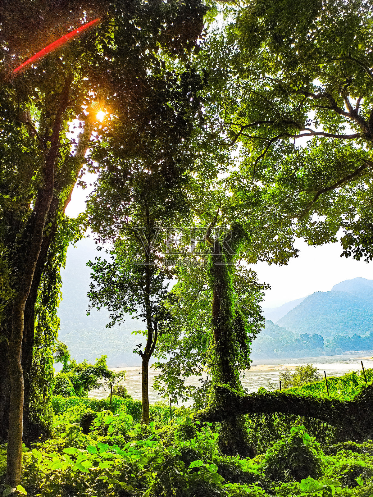 绿色的门照片摄影图片