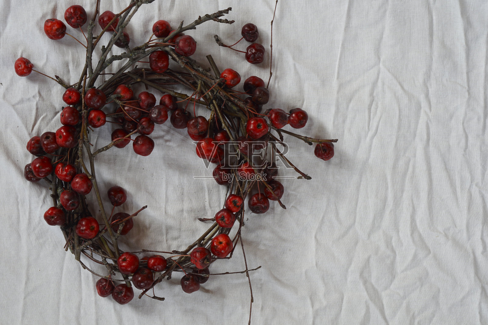天然小红野苹果(天堂苹果)树枝花环照片摄影图片