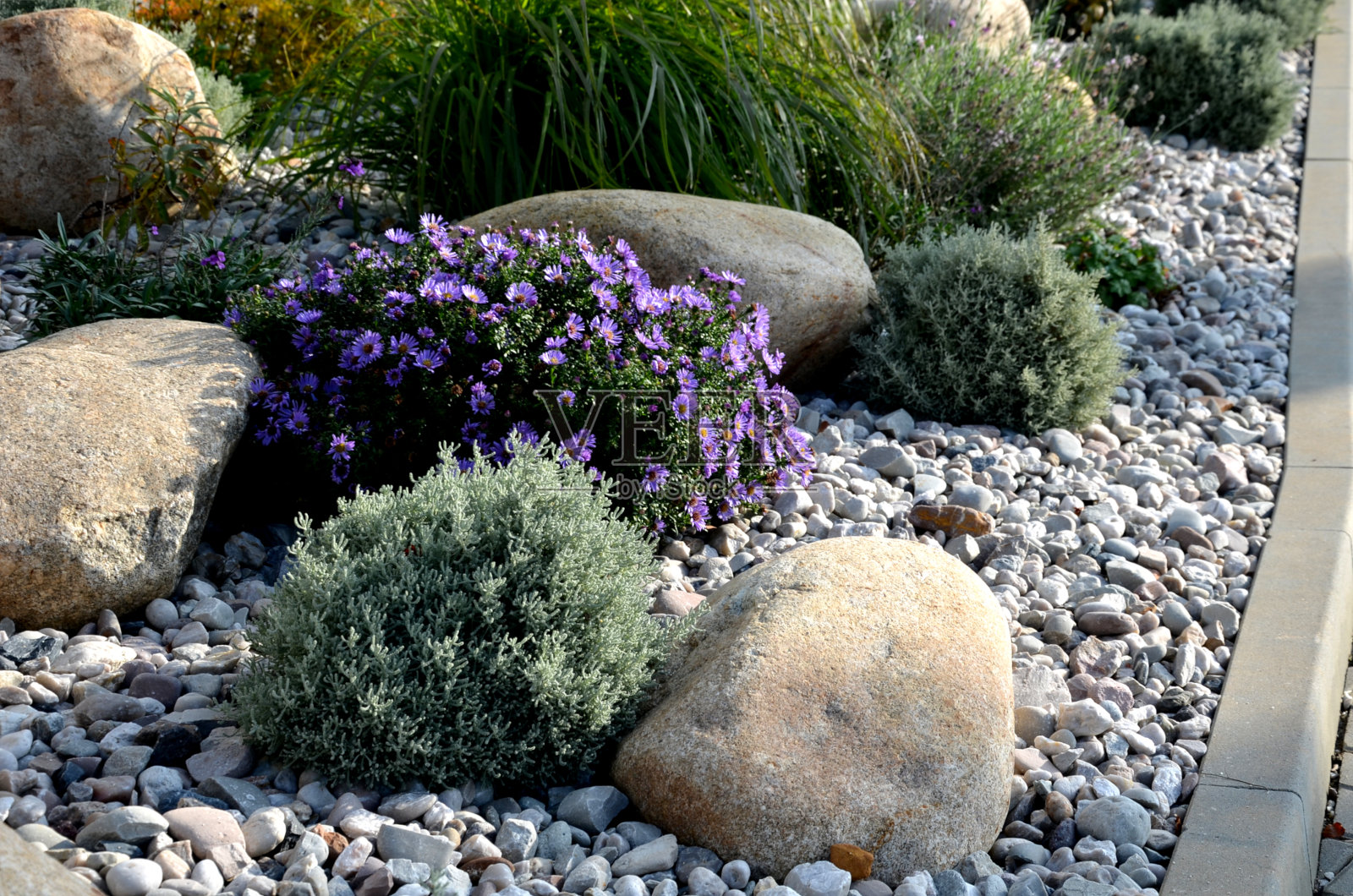 装饰花坛与多年生松树和灰色花岗岩巨石,覆盖树皮和鹅卵石在一个城市设置附近的停车场购物中心。照片摄影图片