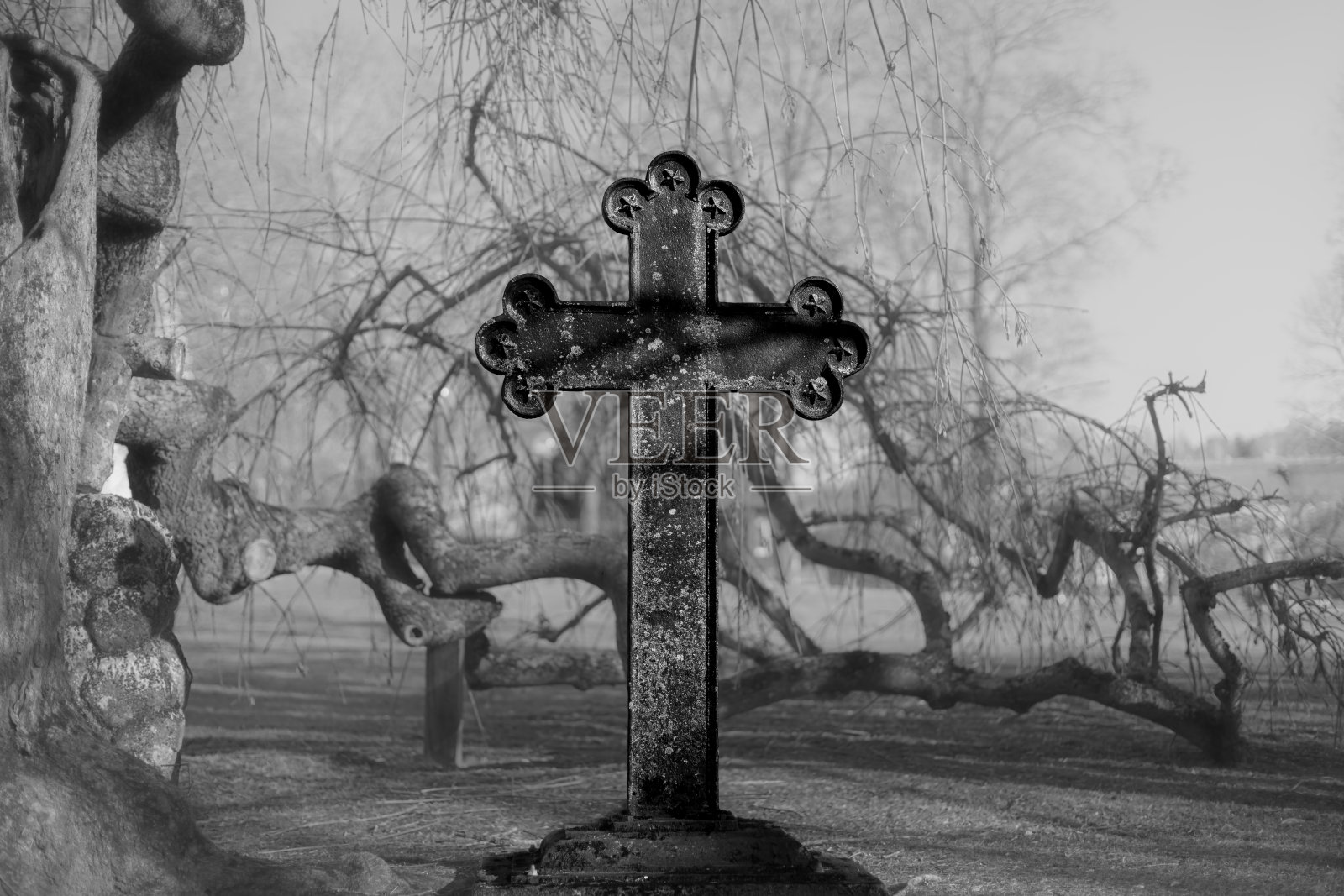 老铁十字墓碑树下照片摄影图片