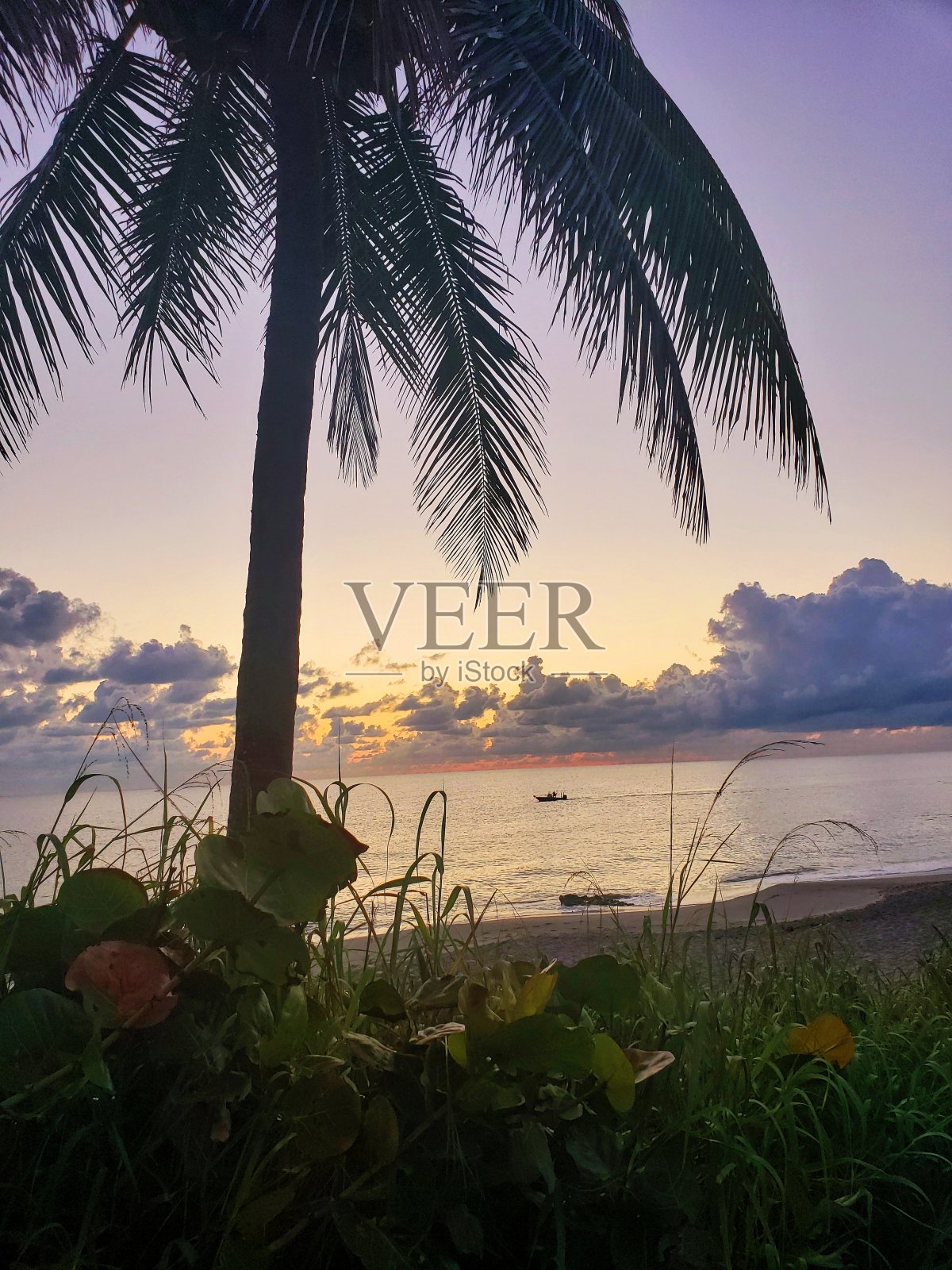 日出后划船照片摄影图片