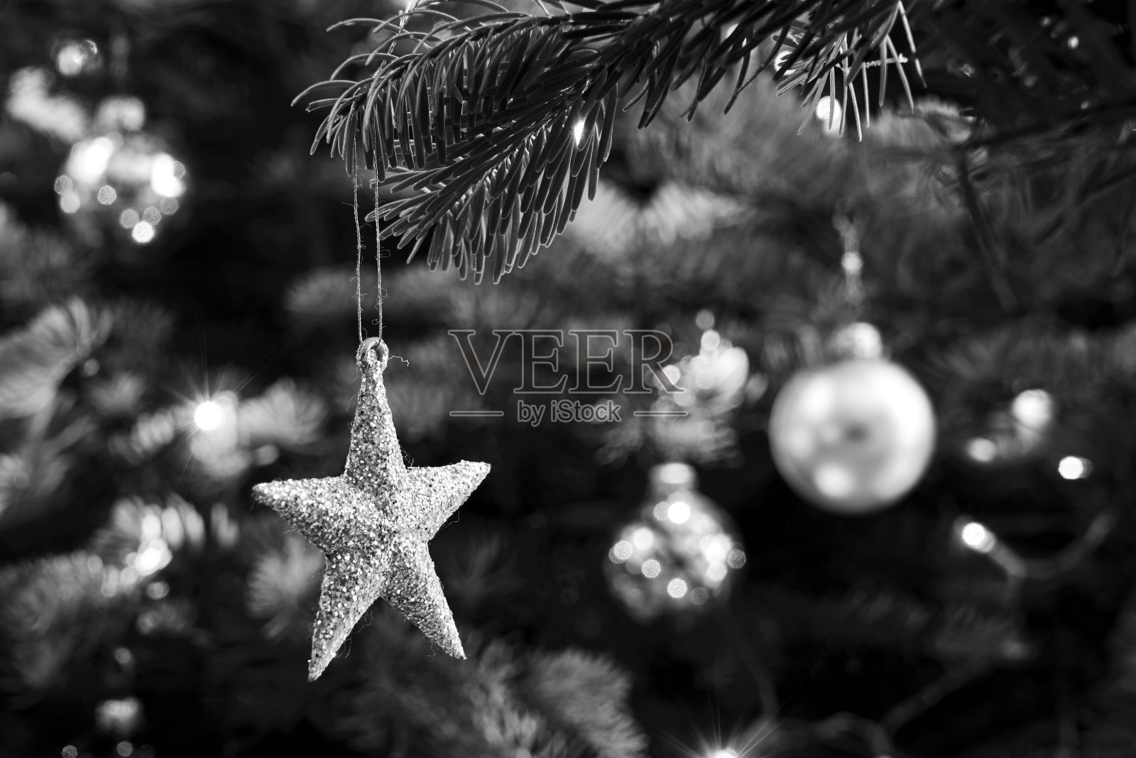 星形云杉圣诞树圣诞节时装饰用的星形云杉树照片摄影图片